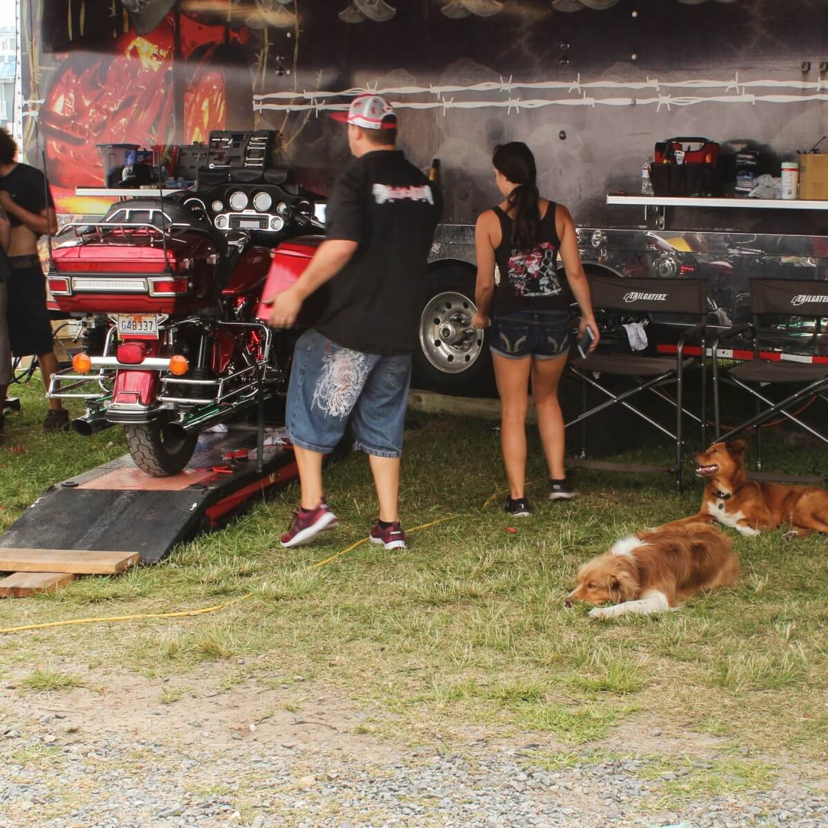 Bike week dogs