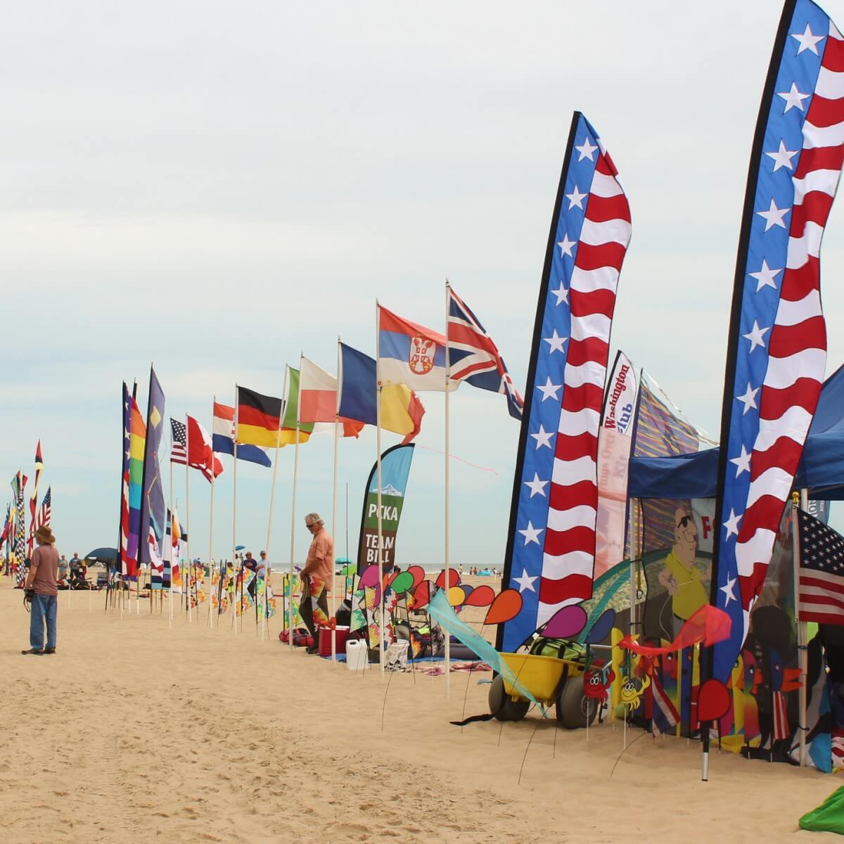 Line of kites