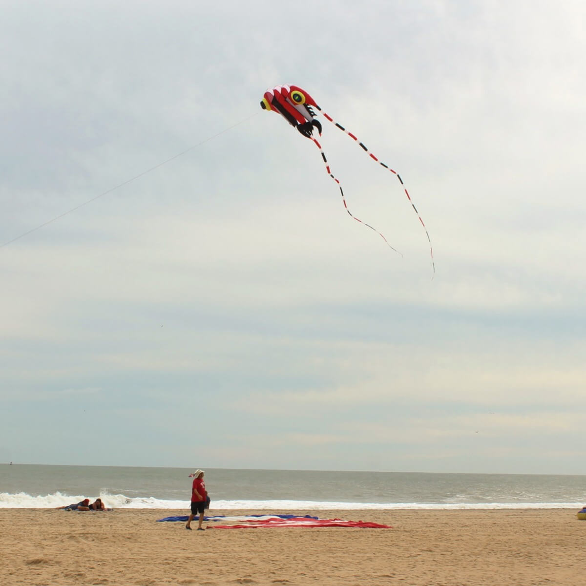 Kite