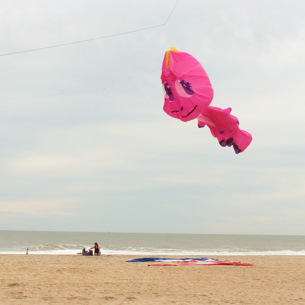 Dragon kite