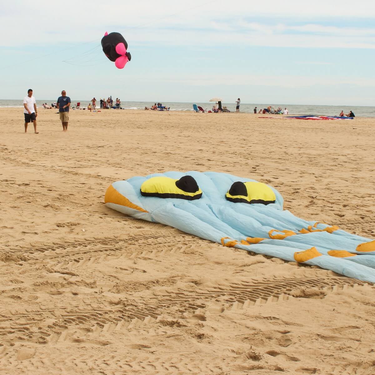 Kite on the ground