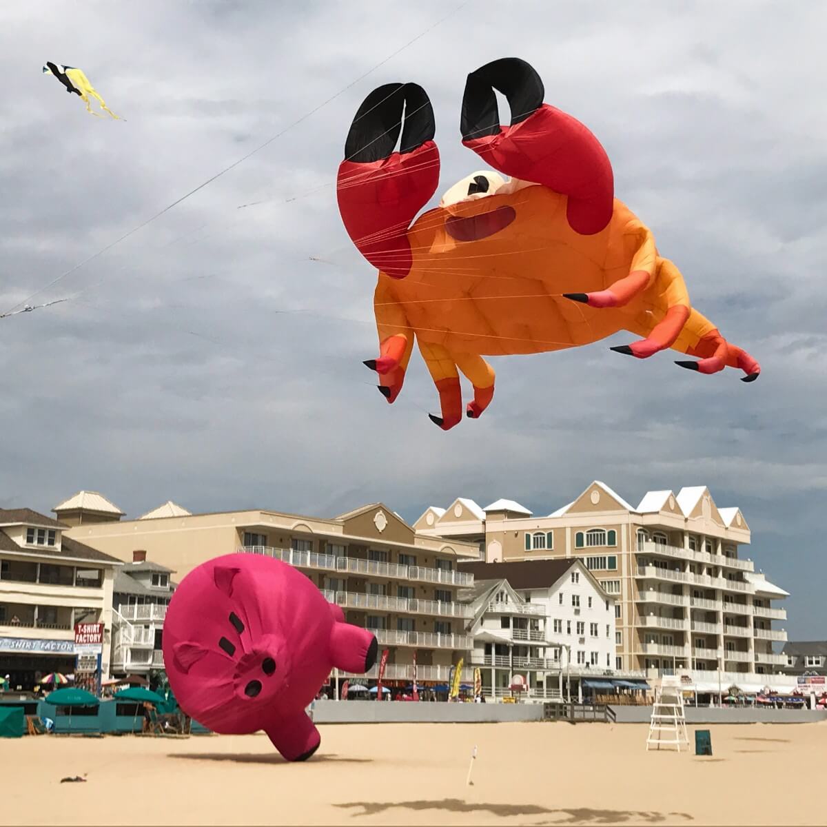 Kites