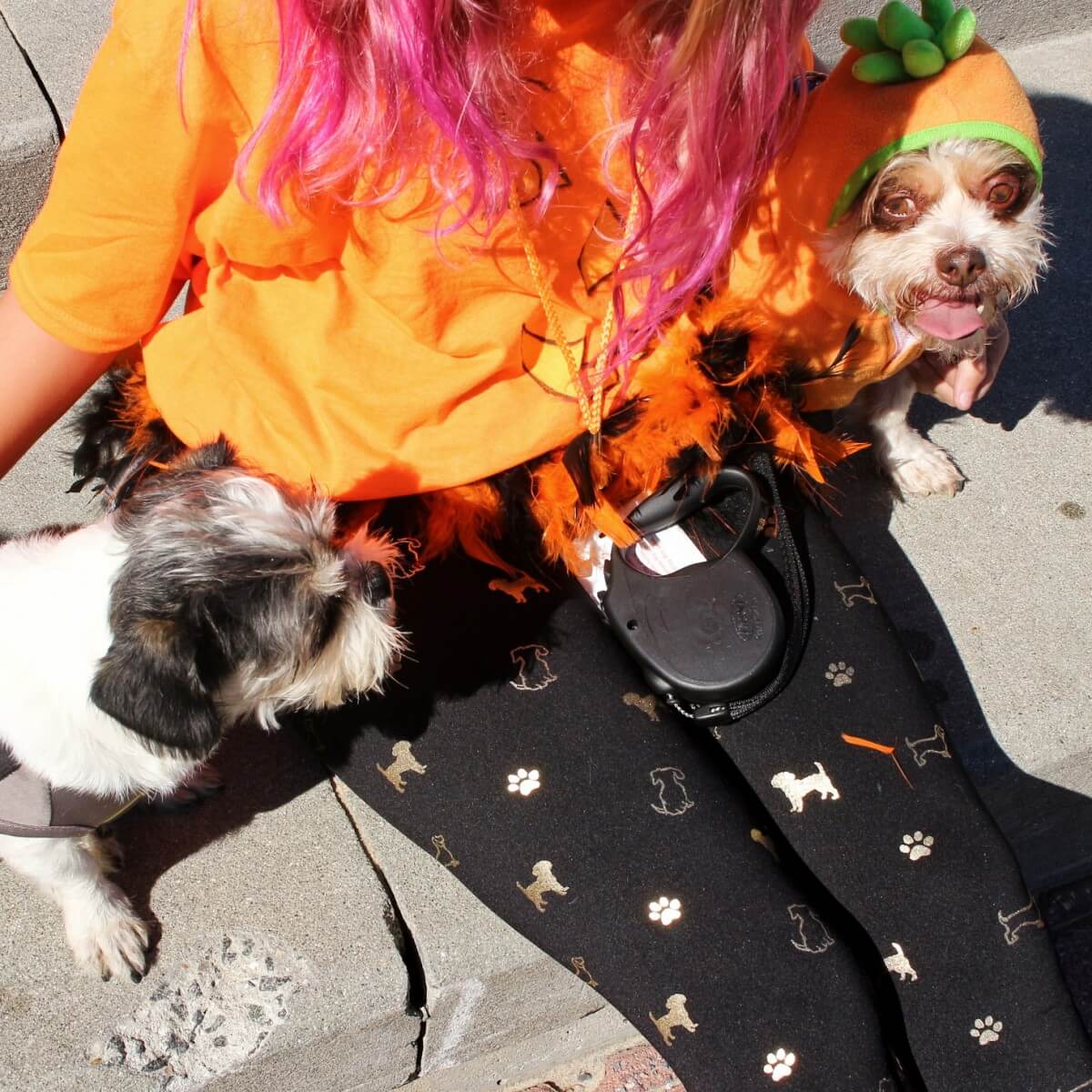 Pups