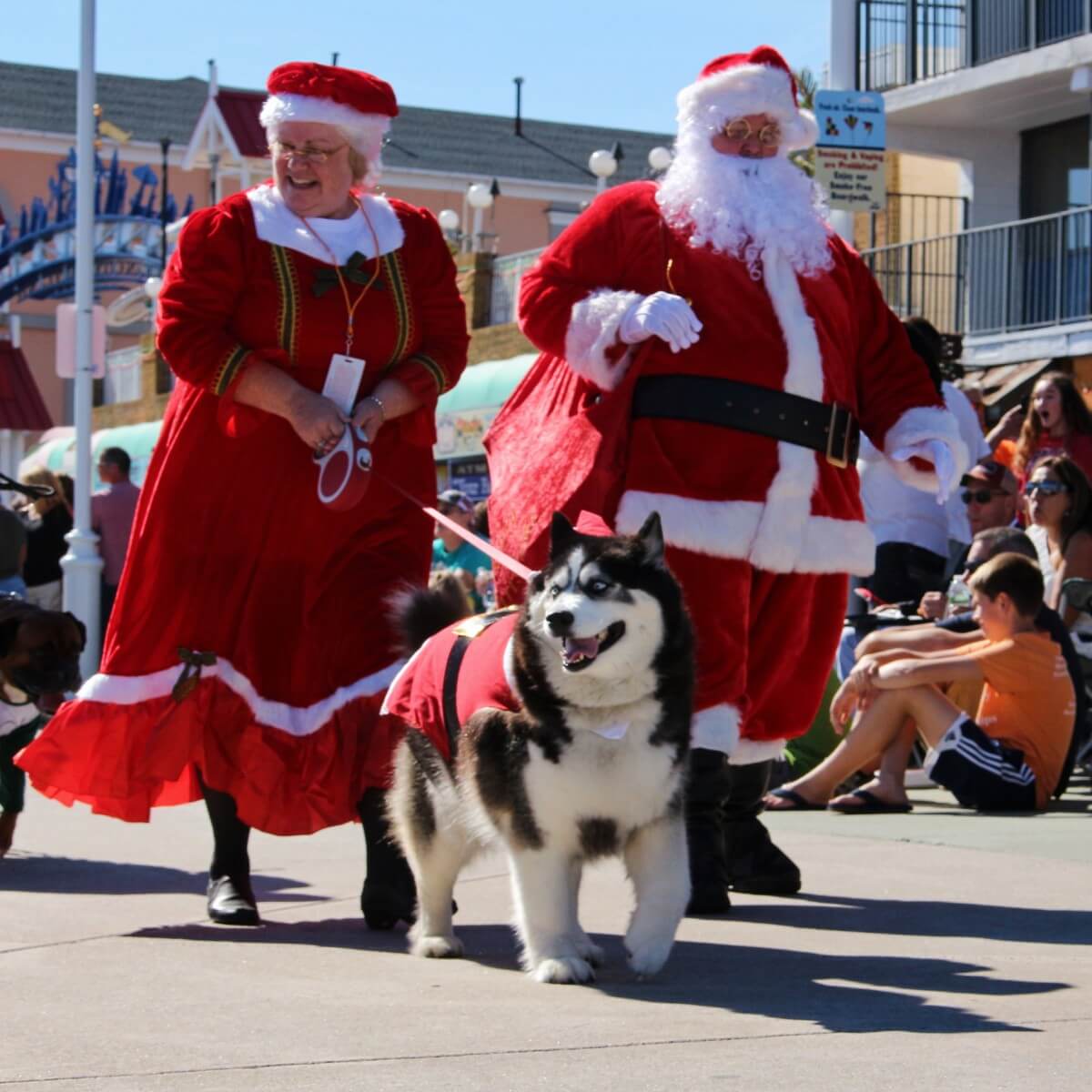 Santa and a husky