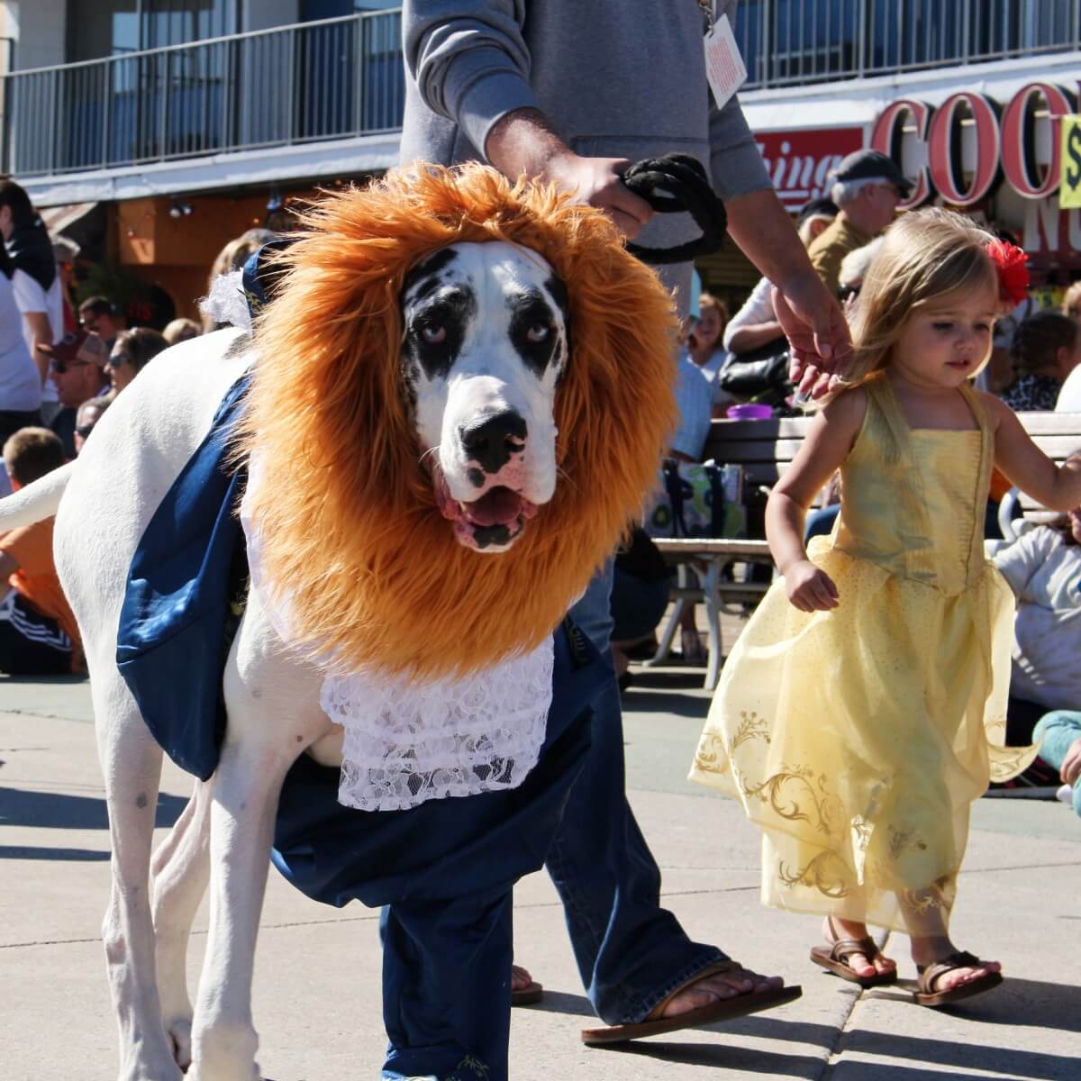 Beauty and the Beast