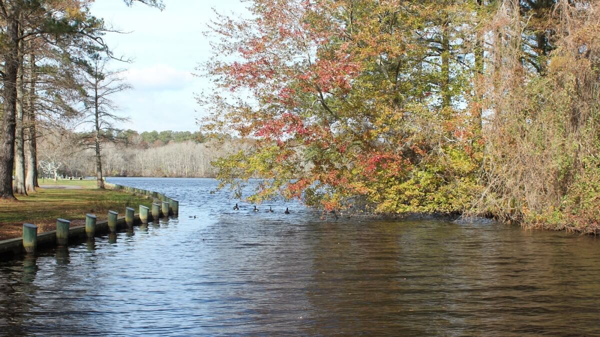 Pocomoke River