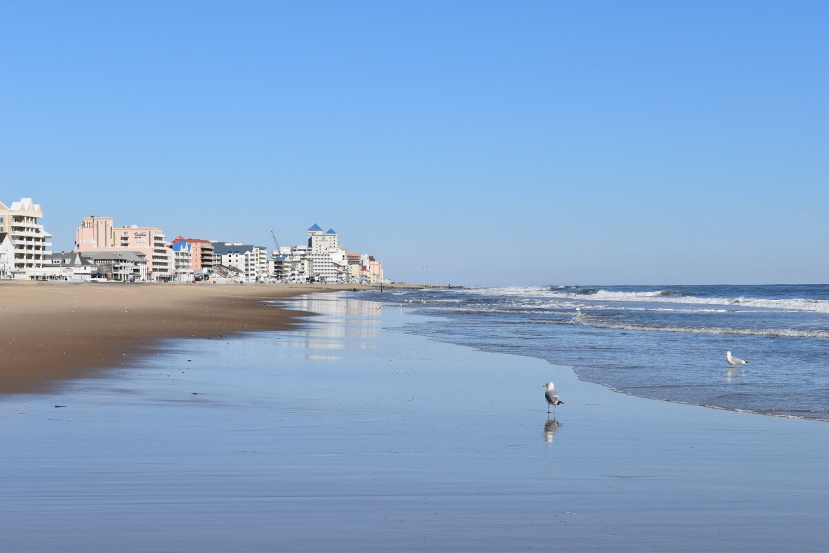 January beach