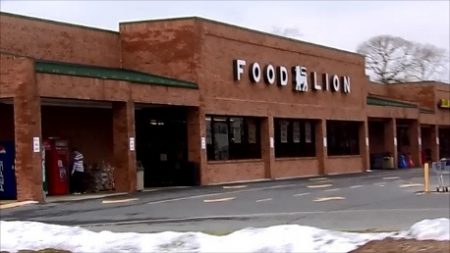 1590 food lion berlin 450x253