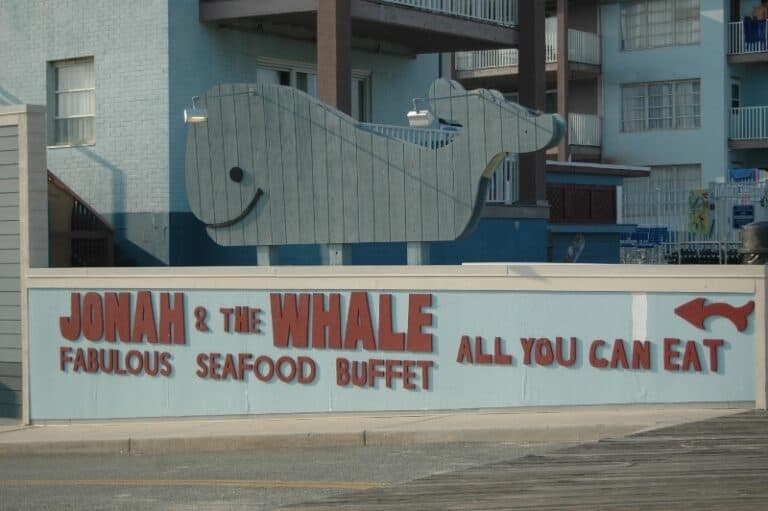 1673 jonah and the whale 768x511