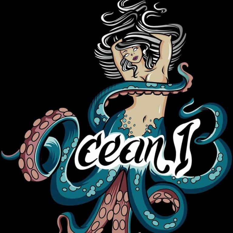1770 ocean 13 768x767