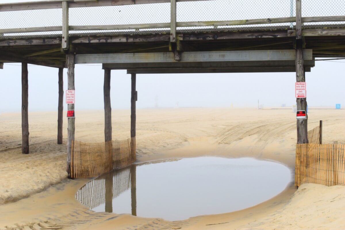Beach fog