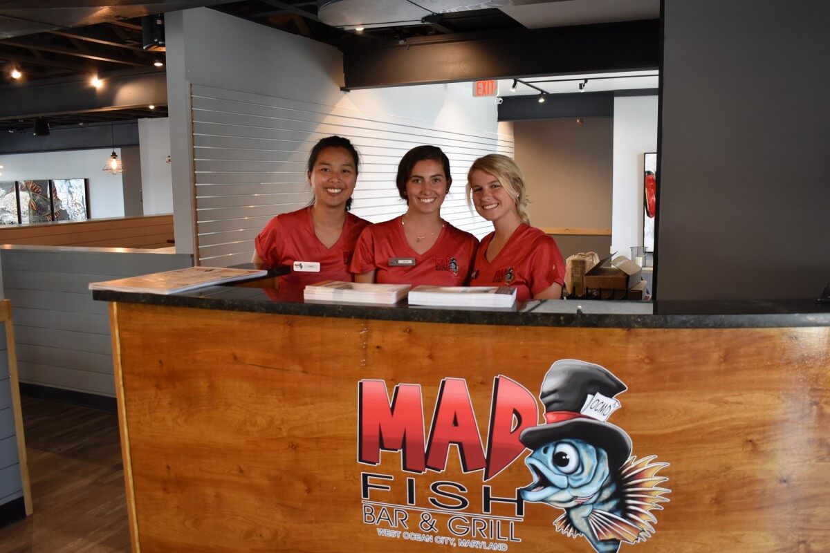 Mad Fish team