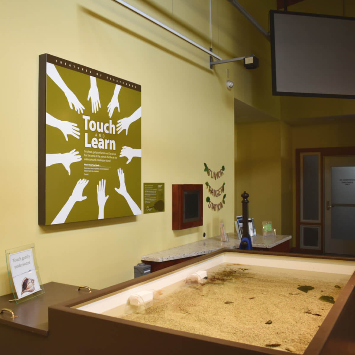 Assateague touch tank