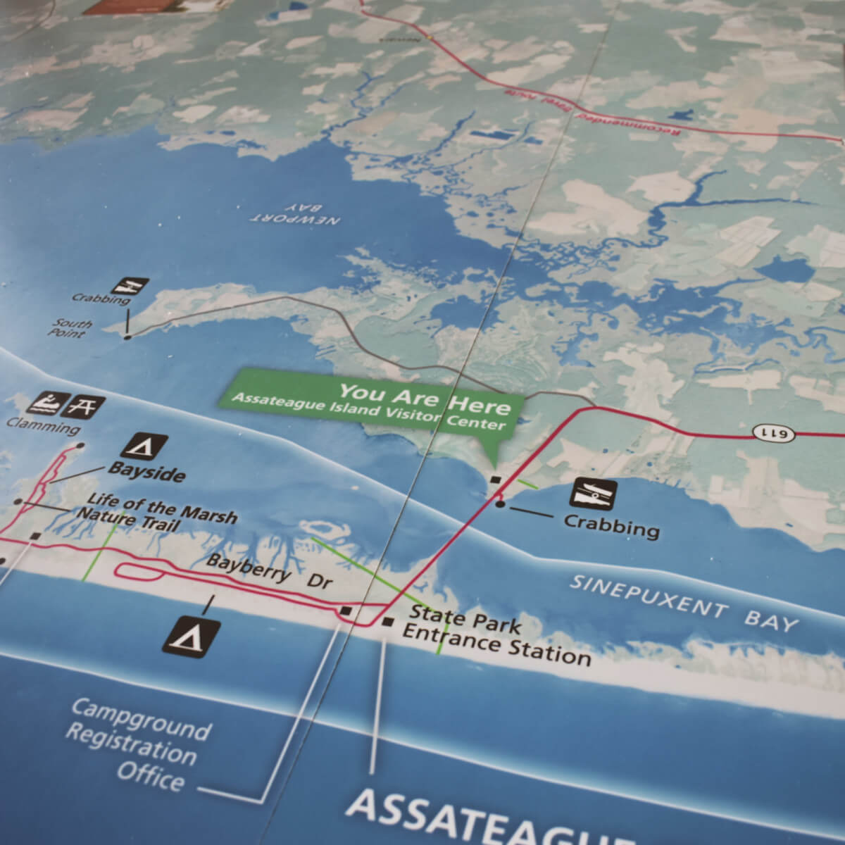 Assateague touch tank