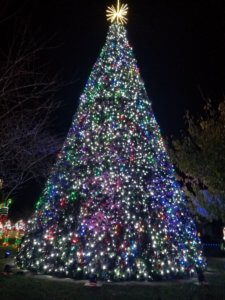 The Christmas tree at the Winterfest of Lights in Ocean City MD