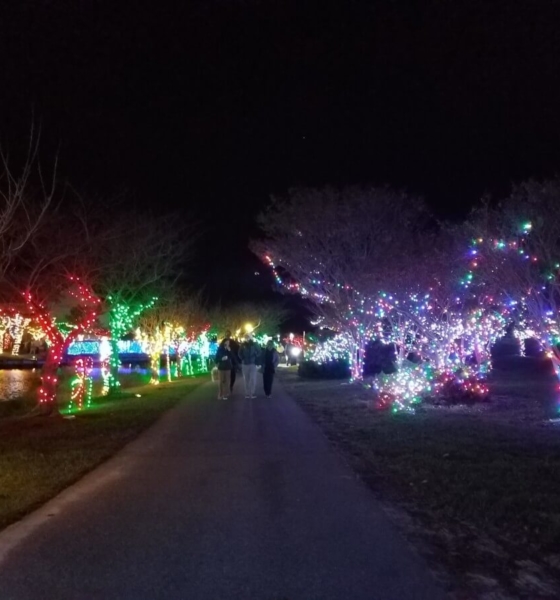 A Sparkling Winterfest of Lights