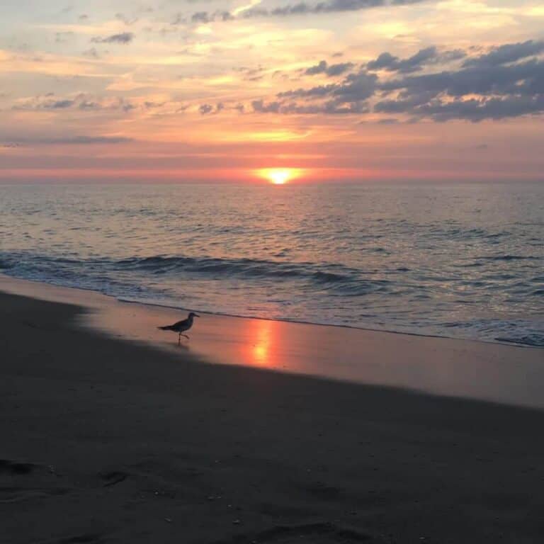 Photo Friday July 3rd 2020