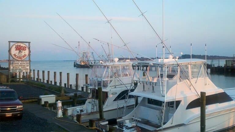 Out on the Water Photos