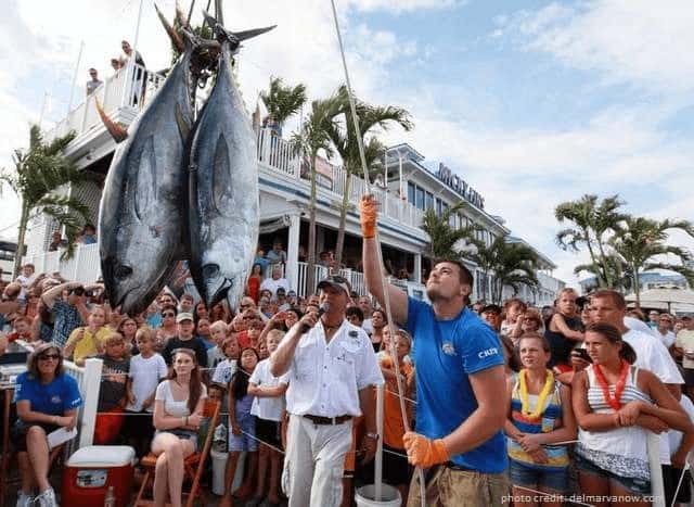 Ocean City Tuna Tournament Prepares for Competition This Weekend!