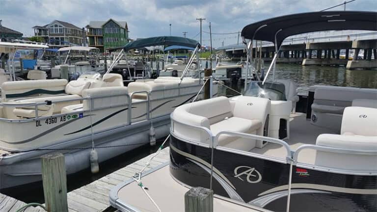 15 Reasons to Rent a Pontoon Boat Photos