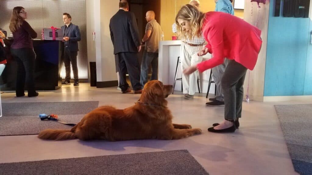 pet friendly hotels in Ocean City