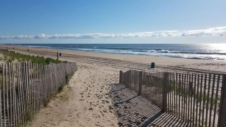 Top 5 Businesses Getting Creative in Ocean City