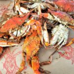 Ocean City Maryland Crabs