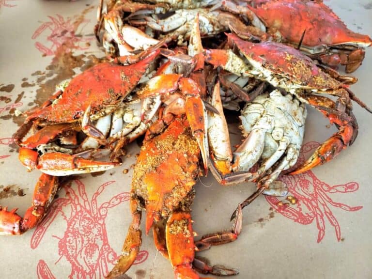Ocean City Maryland Crabs