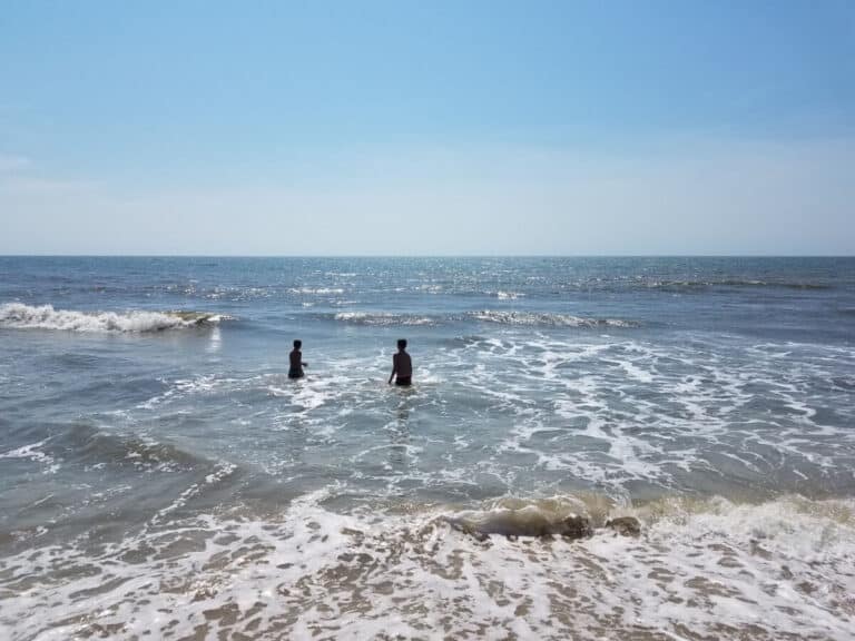 The Beach this Week in Pictures