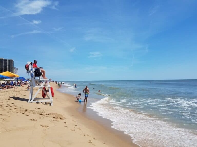 This Week on the Beach