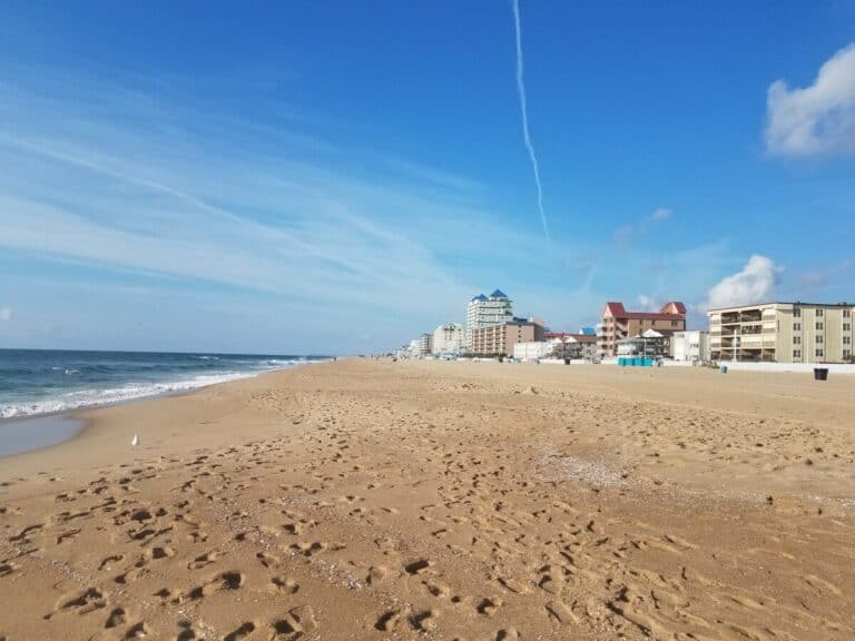 Beat Virtual Fatigue: A “Tail” of an Ocean City, MD Escape