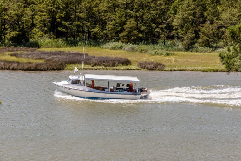 Day Trips from Ocean City :: Crisfield
