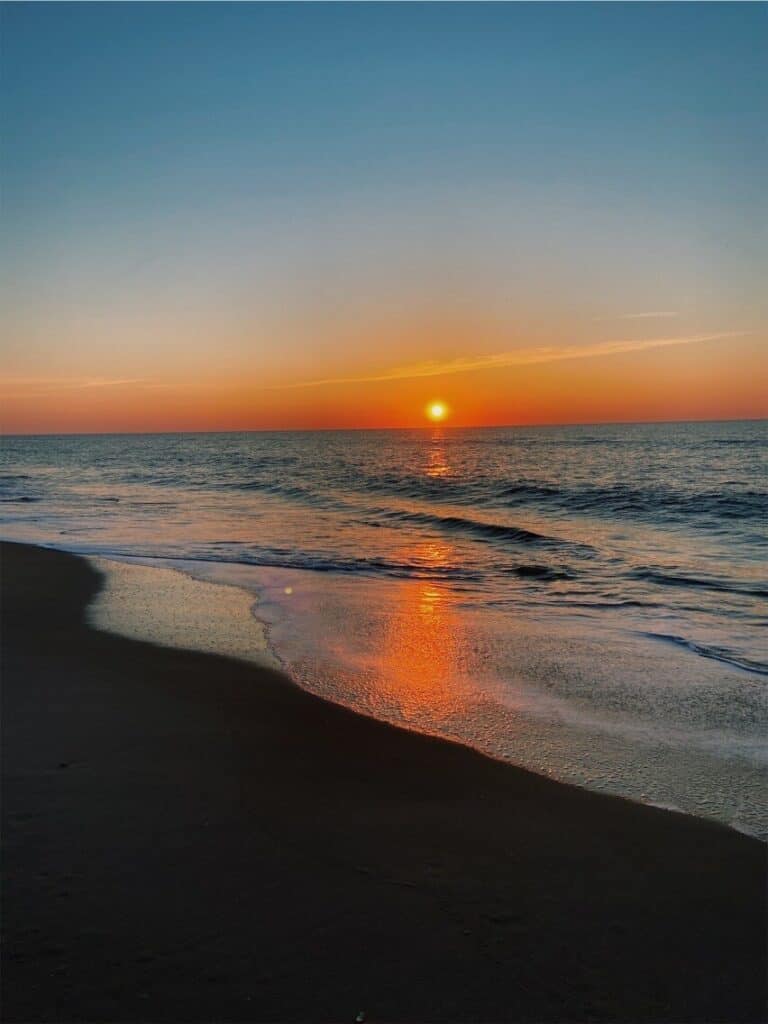 Snapshots of Assateague Island