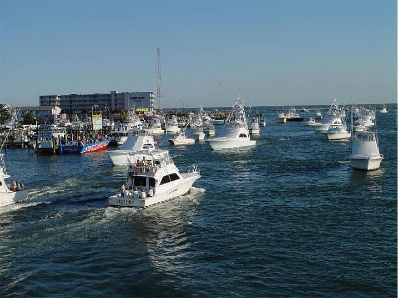 White Marlin Open OCMD
