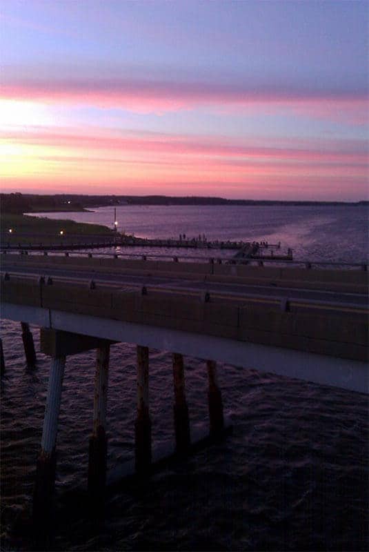 Why You Should Be Visiting Assateague Photos (12 photos)