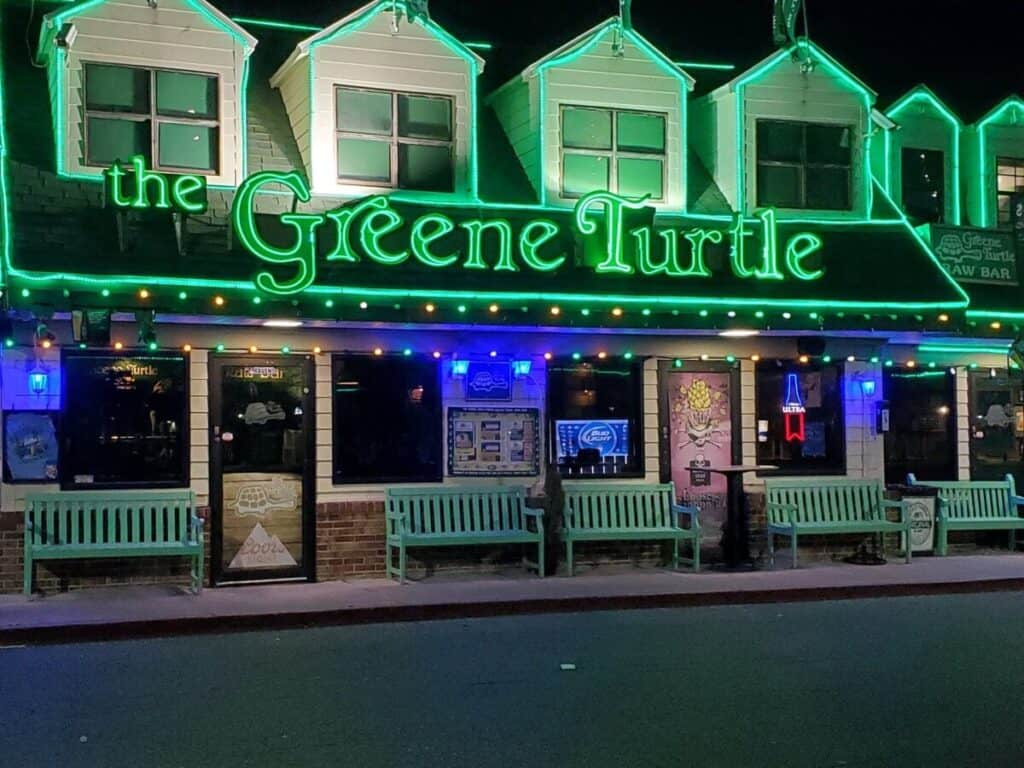 Greene Turtle Face Mask