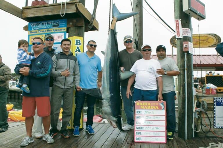 Stein’s 281.6-lb. mako takes top award in tourney