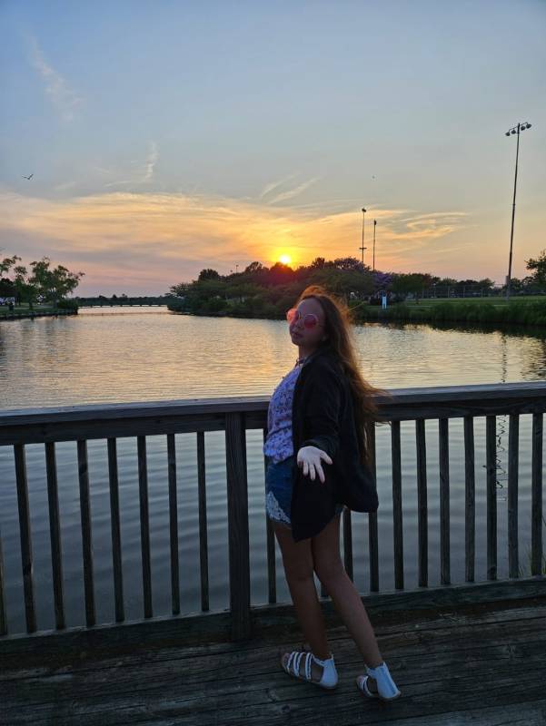 View with a sunset background