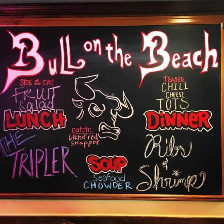 3259 bull on the beach 768x768