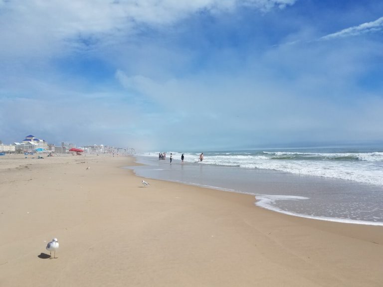 “Alexa, play Ocean City sounds”: How to enjoy Ocean City virtually before summer hits