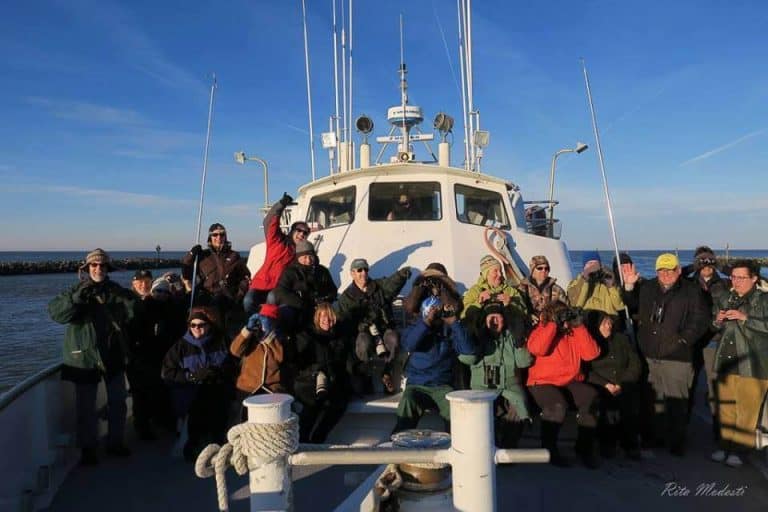 Delmarva Birding Weekend is almost here