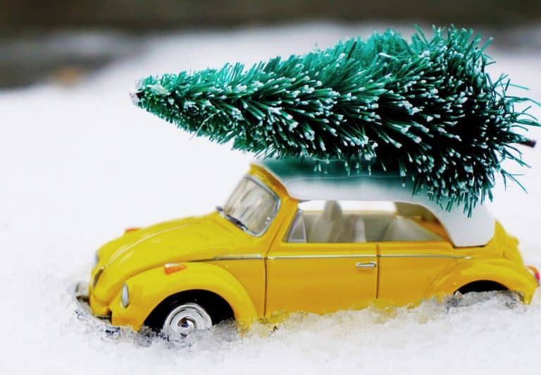christmas tree drop-off worcester