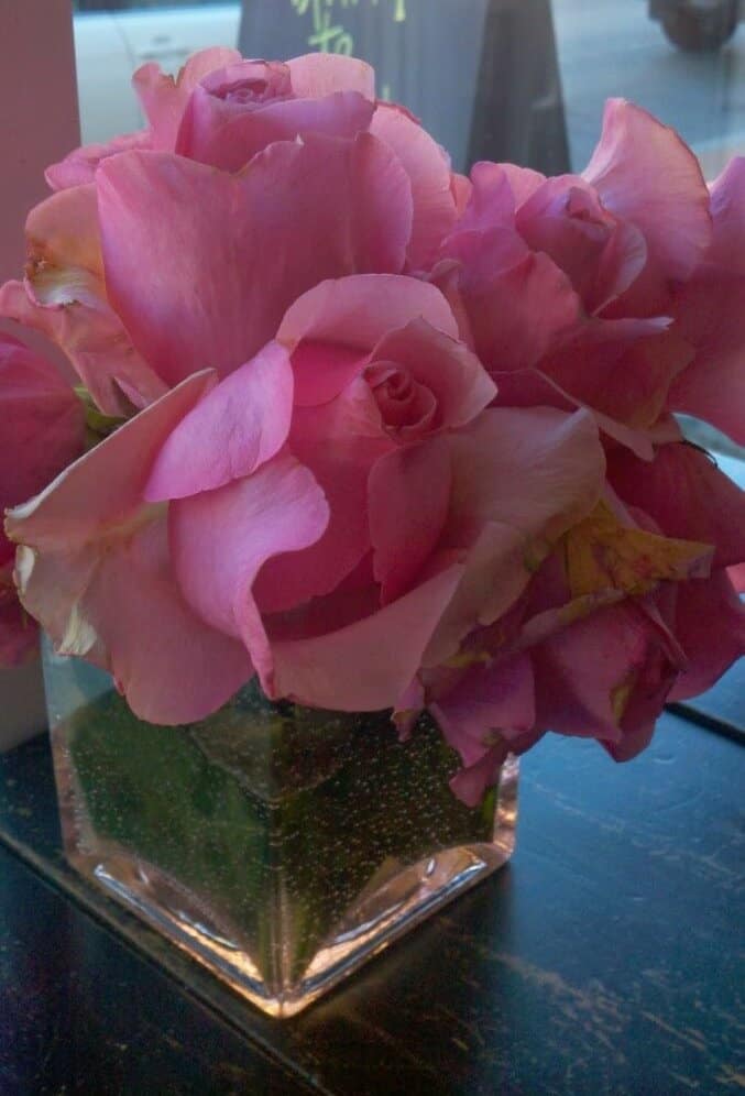 Valentine’s “Specials” in Ocean City Maryland