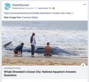 OceanCity.com 2019 year in Review