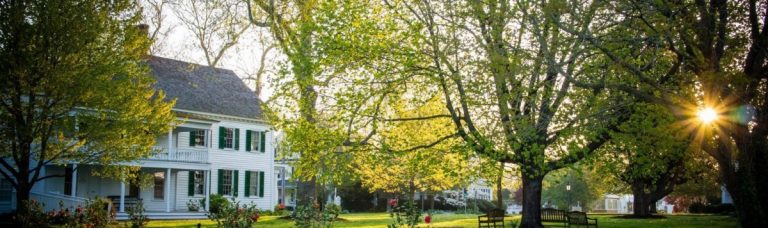 Free Admission to Museums