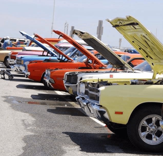 Endless Summer Cruisin
