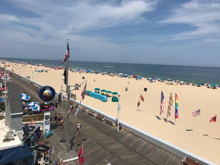 This Week in Ocean City: Thriving in the Heat Wave!