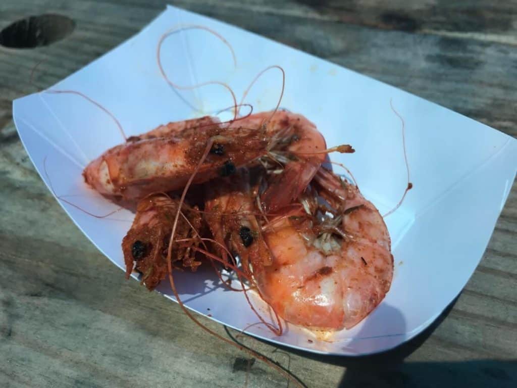 the shrimp boat