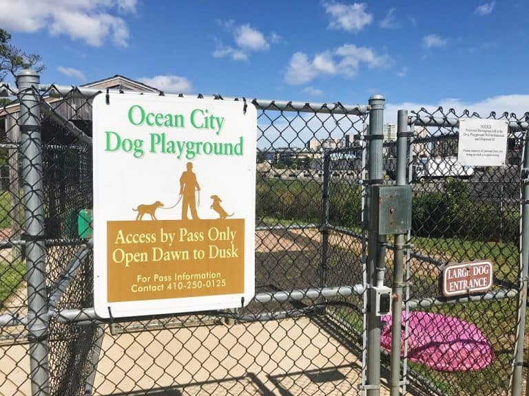 Ocean City Dog Playground