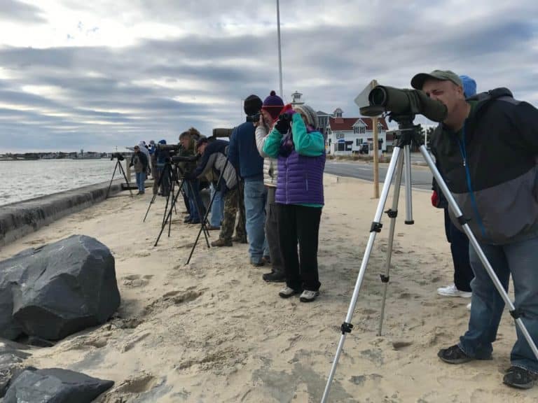 2021 Delmarva Birding Weekend set for April 21-26